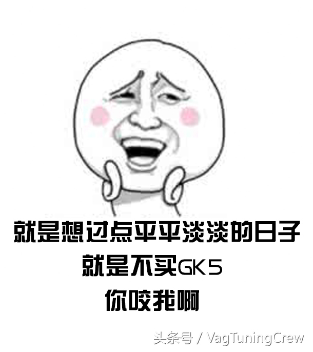 斯柯达晶锐改装方案,斯柯达晶锐改装二手