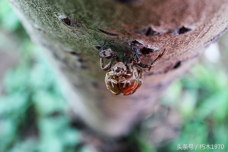 东营市摄影团购,摄影广饶