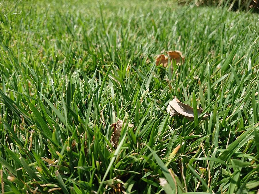 为啥都说索尼电视好,为什么都说索尼手机好