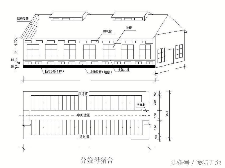 农村100头育肥猪小型猪场设计图,农村小型养猪场设计规划图