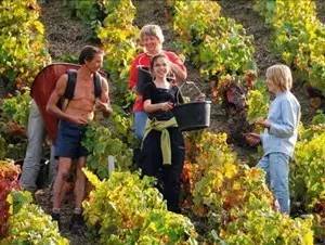 如何在法国学习,怎么样才能在法国工作