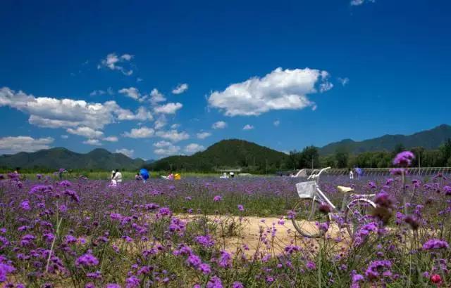 重磅！明天起，北京人要让全世界羡慕！