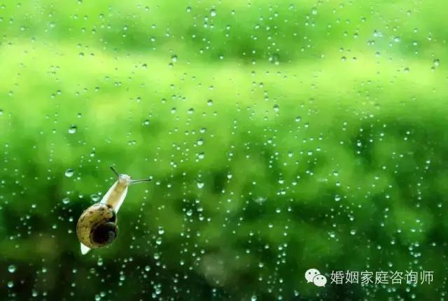 鏆栧績澶忛洦,娑﹀績鐨勭數瀛愮惔鍗曟洸