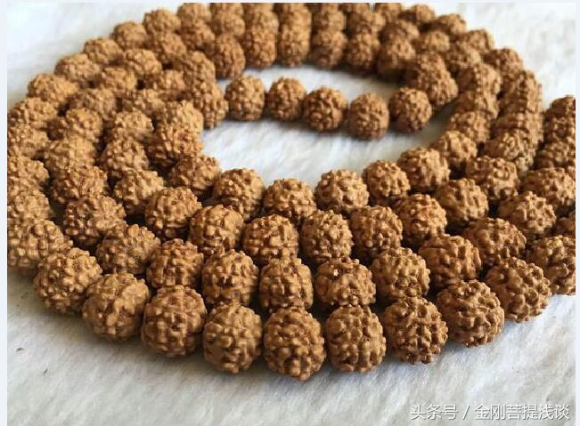 金刚菩提纹路里反碱,六瓣雪花金刚菩提纹路