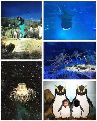 日本带孩子自由行穷游攻略,日本大阪带娃5日游都去哪