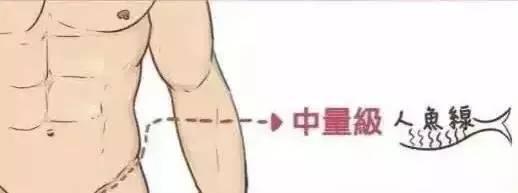 人鱼线等级划分图解,人鱼线等级对照表