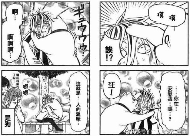 《笨女孩》被一个笨蛋带坏的小镇,唯独这条狗全面过人