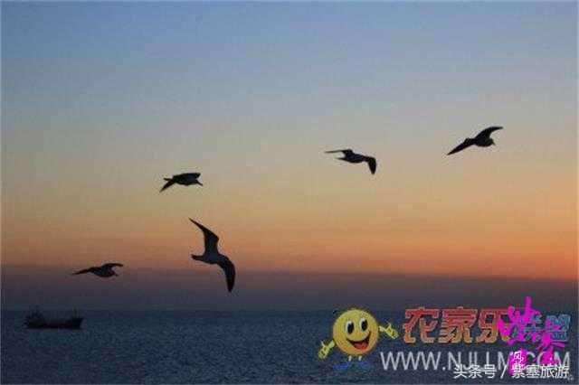 大钦岛渔家乐旅游攻略,紫塞北京农家乐