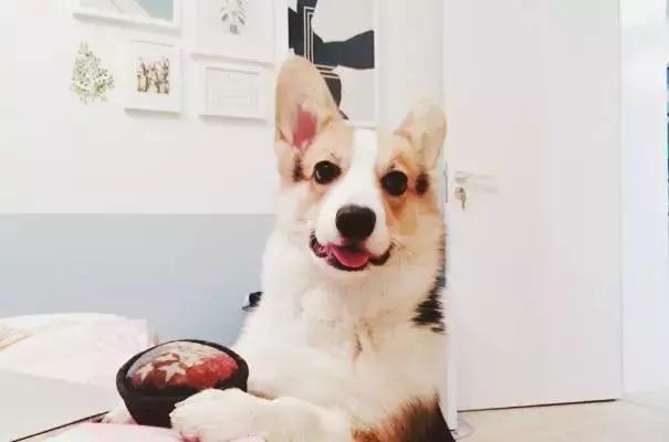 天津姑娘13W逆袭80㎡老房，有颜值又实用，客厅没窗户也能晒太阳！（内附装修干货）