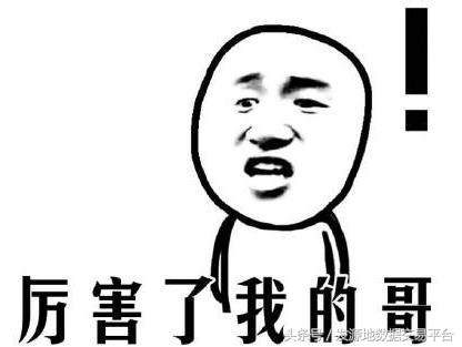 表情包解析2016中国媒体十大新词和年度网络用语,厉害了我的哥!