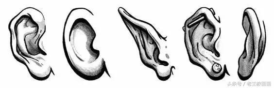 教100个零基础小白画画,100个适合零基础学习的画画教程