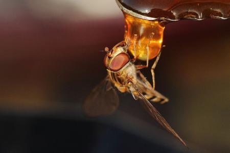 以点促化,妙点生花——教育教学中的“点睛”之笔