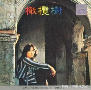 记忆中爸爸录音机中听过的那些歌，都会唱你就老了（第二期）