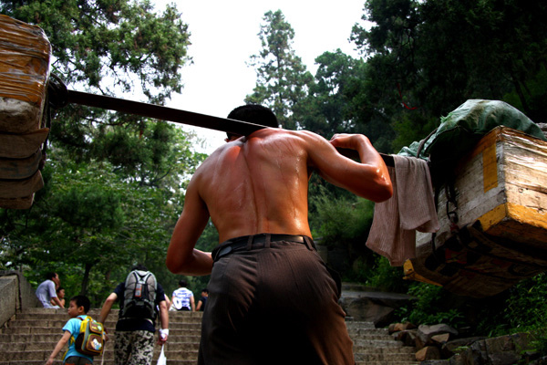 什么动物的肾可以补,什么动物的肾最补肾