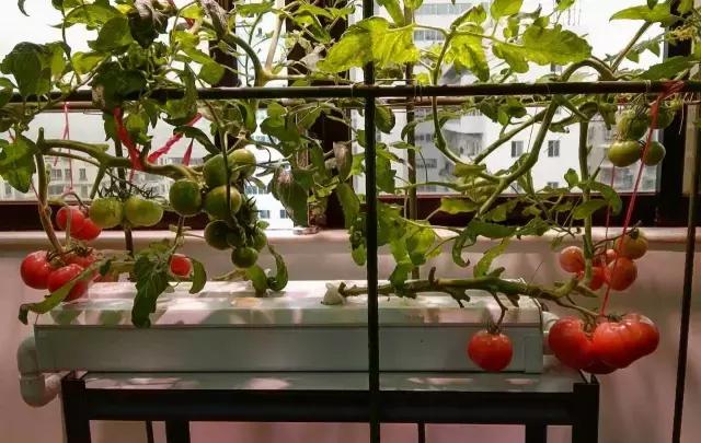 肇庆无动力亲子乐园,肇庆夏季亲子旅游推荐地方