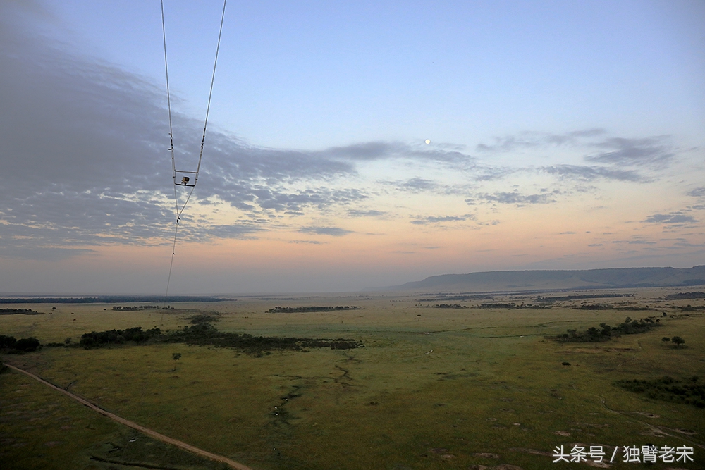 肯尼亚动物大迁徙旅游,肯尼亚迁徙之旅