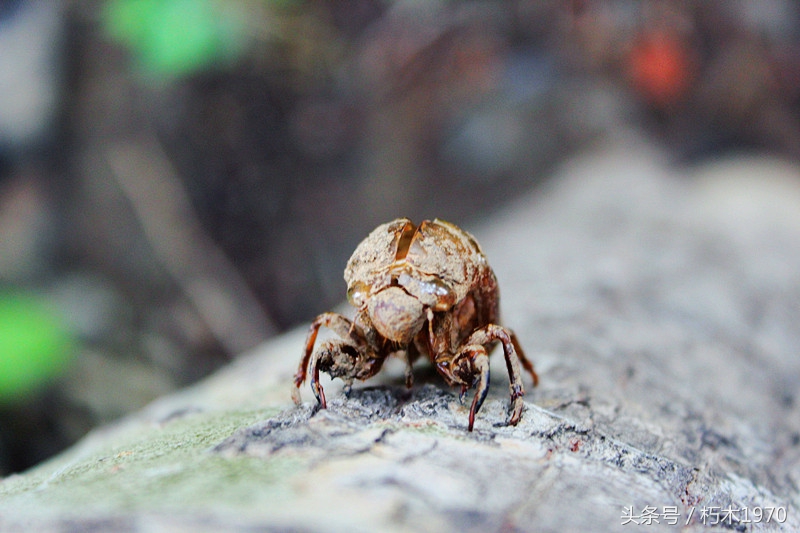 东营市摄影团购,摄影广饶