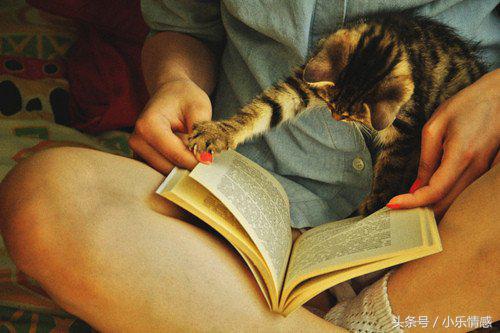 失恋并不是坏事,失恋不是坏事