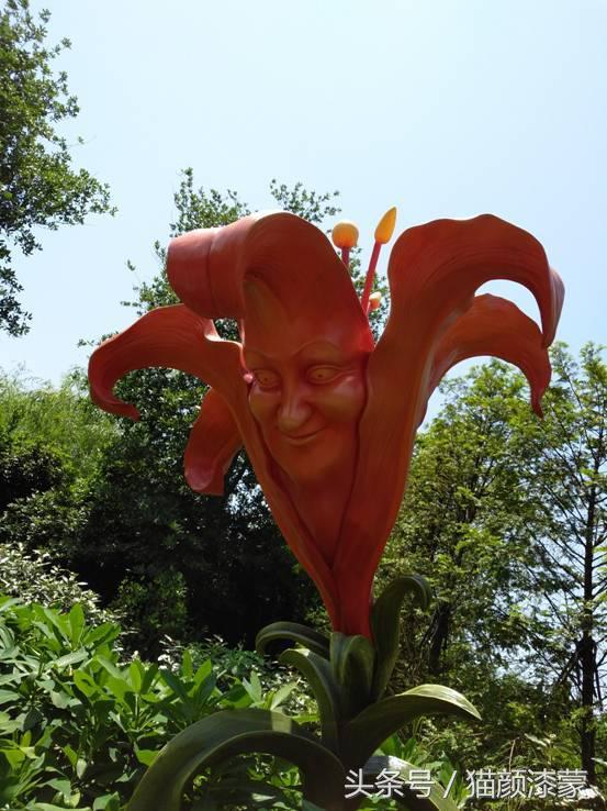 锐丽异类的上海之旅：坚果Pro畅玩迪士尼