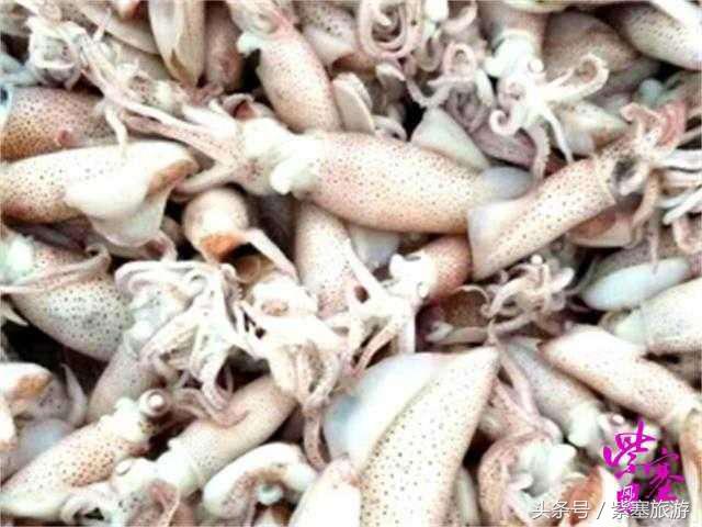 秦皇岛旅游住宿农家院,秦皇岛2日游攻略农家院