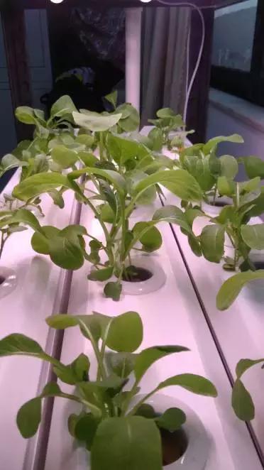 肇庆无动力亲子乐园,肇庆夏季亲子旅游推荐地方