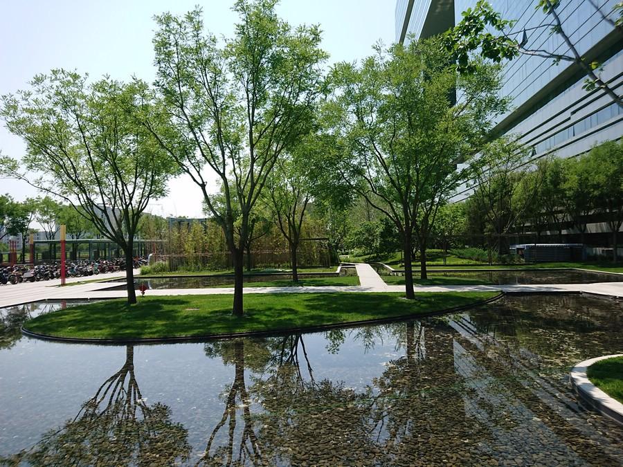 为啥都说索尼电视好,为什么都说索尼手机好