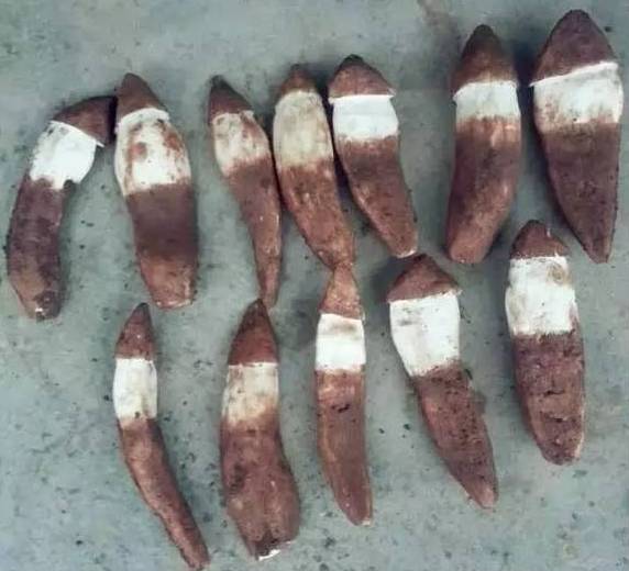 买菌菇被骗,买菌子东西被骗了怎样能追回钱