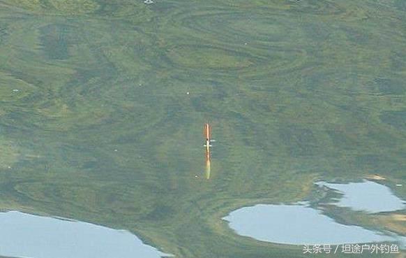 钓鱼遇到大货视频,钓鱼遇到大鱼如何钓