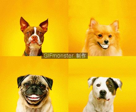 姑娘玩足球视频,妹子足球教学