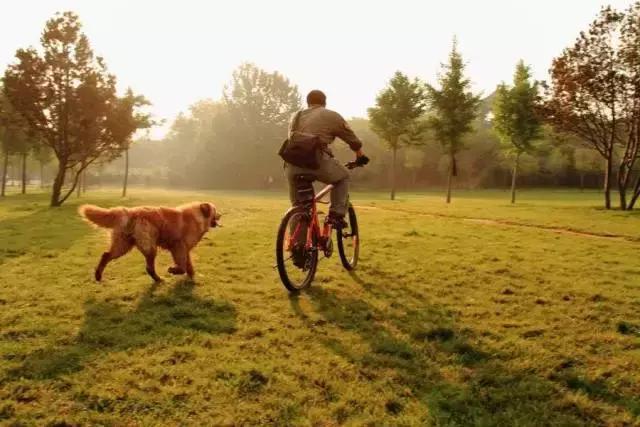 大暑温馨提醒你注意什么,大暑即将来临的视频