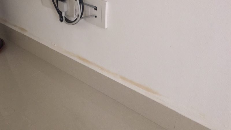 照着这些办法补救，你家房子也能50年不再返潮、发霉、起皮