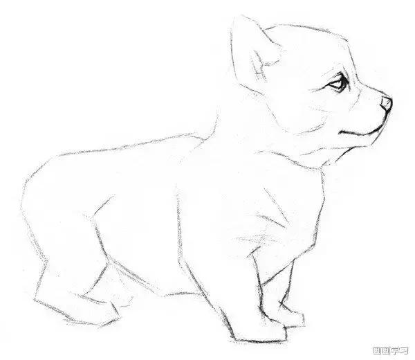 素描大熊猫,零基础怎么画出可爱猫咪素描教程