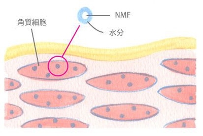 luna洁面仪清洁方法,清洗luna洁面仪