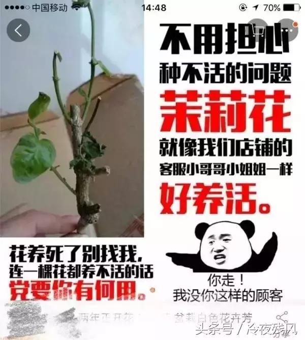 电商史上最全最搞笑锦集，笑成了200斤的胖子