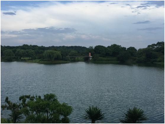 宜兴绿缘山庄度假酒店,宜兴绿缘山庄在什么地方