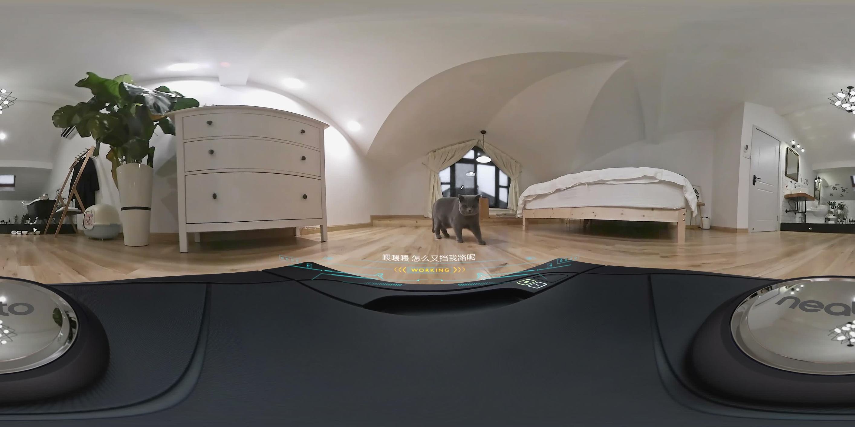 扫地机器人neato现在怎么样,neato扫地机器人使用