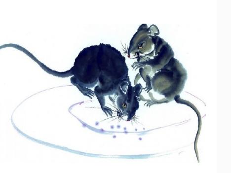 什么生肖和什么生肖最佳搭配,最合适的生肖组合