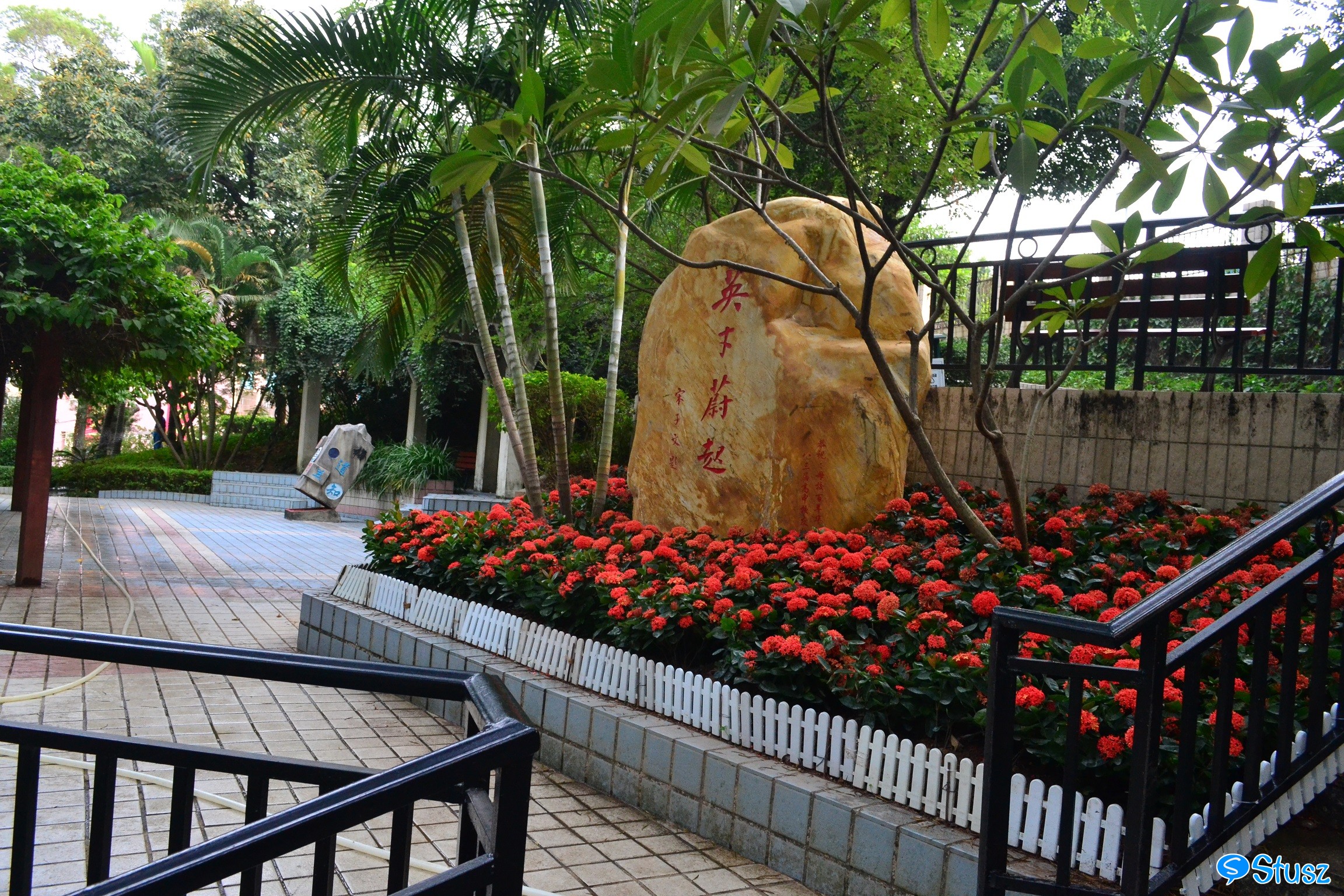 Stusz独家：观澜中学，现代化的百年老校