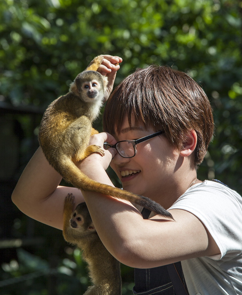 日本喜欢泡温泉的动物,日本爱泡温泉的狗子