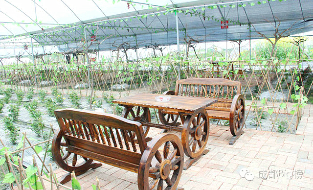 一个用味道留住你的草莓采摘园,52个新鲜草莓