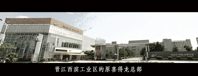 晋江德尔惠现状,晋江德尔惠2024现状