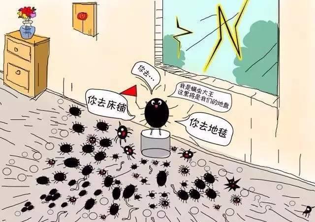 成都高温下雨,高温暴雨的成都