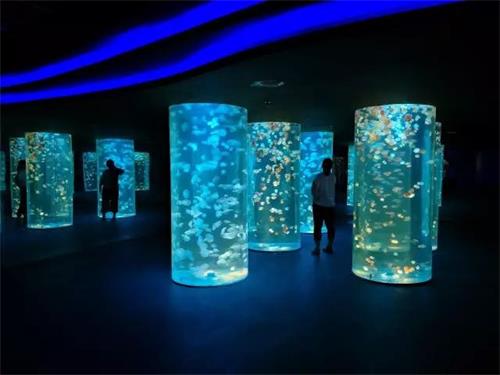 聊城海底世界节目时间表,聊城海底世界国庆