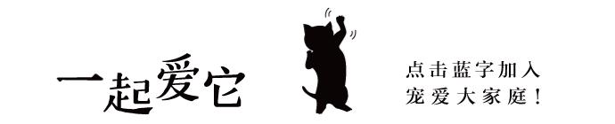 养宠知识宠物狗泪痕怎么处理掉,养宠小知识狗狗拉虫子还吐怎么办