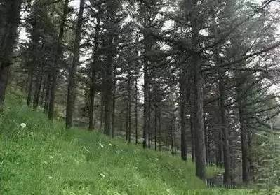 呼和浩特避暑旅游,呼和浩特周边避暑一日游