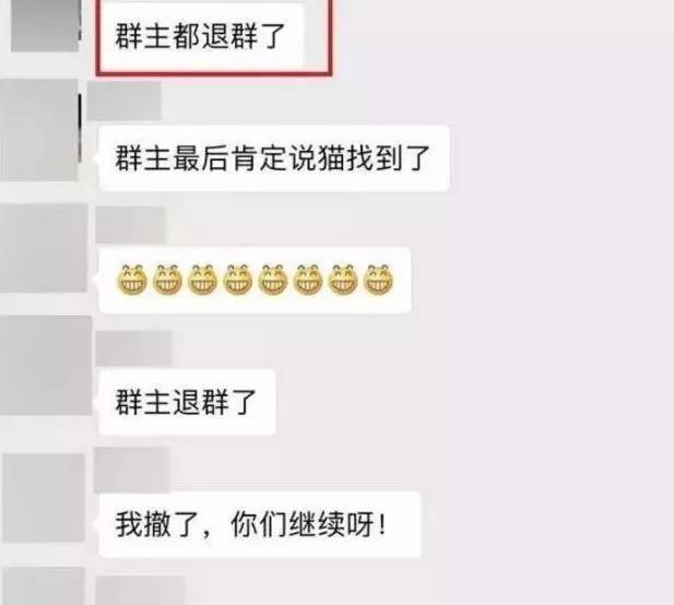 苏州吴中区寻猫启事粉色铃铛,丢猫寻猫启事苏州