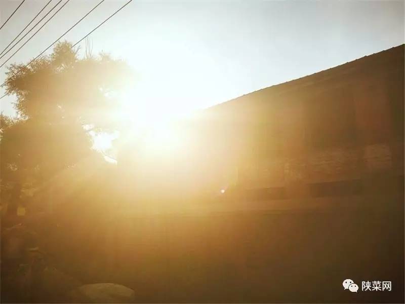 高岩直播,高岩网易云的号