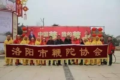 在洛阳我们身边举办的近百场活动，你参加过几次？为了健康，你得看看