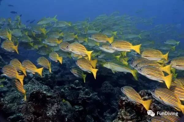 船宿推荐及价格,船宿推荐