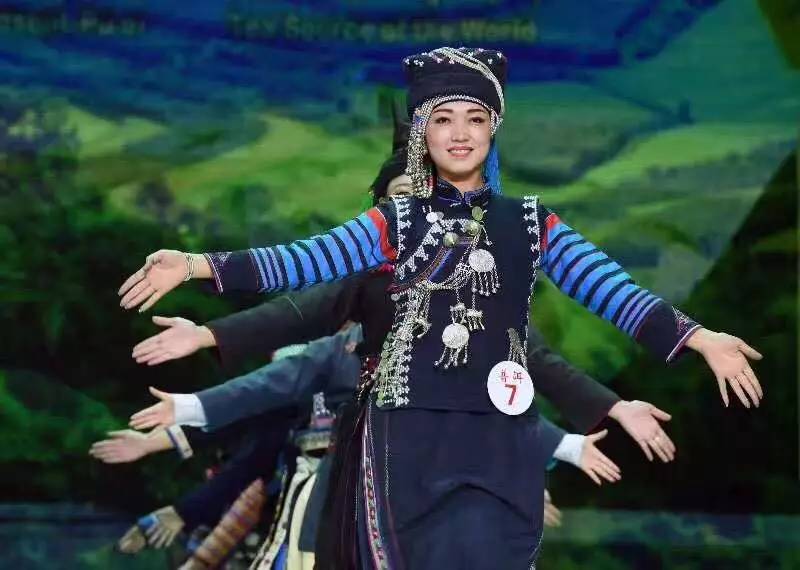惊艳亮相！普洱代表队在“七彩云南2017民族赛装文化节”上拿下1金4银5铜